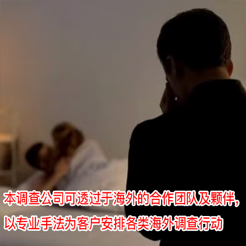 大湾区及海外跟踪行动